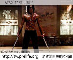 ATAO 的前世相片