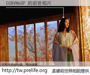 CCBVNbGP 的前世相片