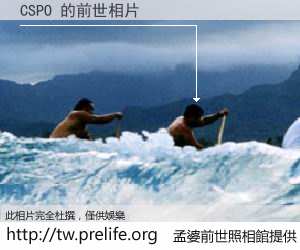 CSPO 的前世相片