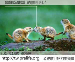 DODECANESO 的前世相片