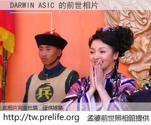 DARWIN ASIC 的前世相片