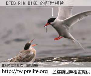 EFEB RIM BIKE 的前世相片