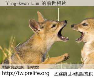 Ying-kwon Lim 的前世相片
