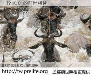 ]9IK,O 的前世相片