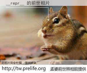 __repr__ 的前世相片