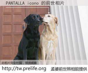 PANTALLA icono 的前世相片