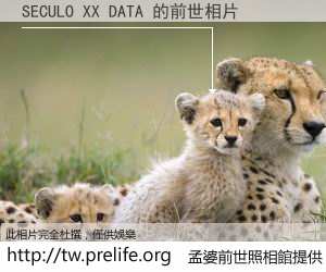 SECULO XX DATA 的前世相片