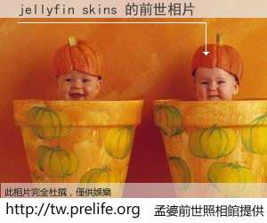 jellyfin skins 的前世相片