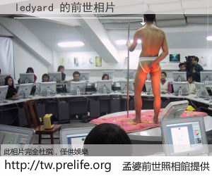 ledyard 的前世相片