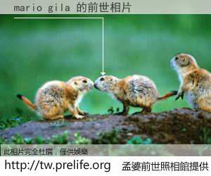 mario gila 的前世相片