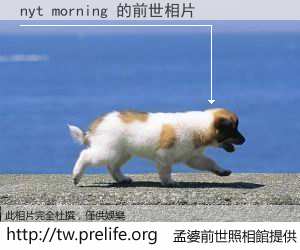 nyt morning 的前世相片