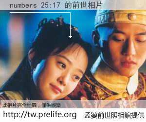 numbers 25:17 的前世相片