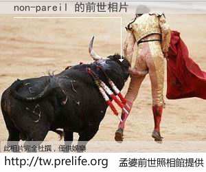 non-pareil 的前世相片