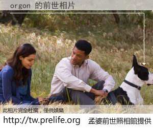 orgon 的前世相片