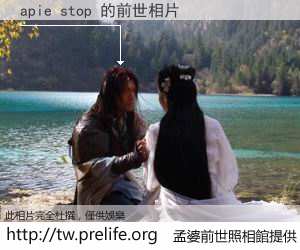 apie stop 的前世相片