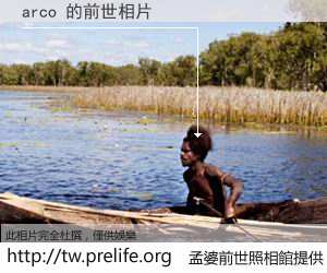 arco 的前世相片