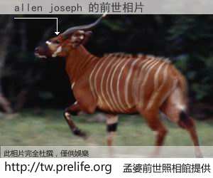 allen joseph 的前世相片