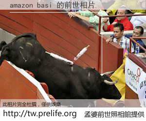 amazon basi 的前世相片