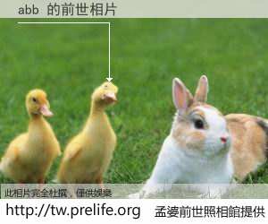 abb 的前世相片