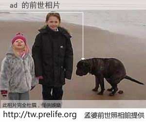 ad 的前世相片