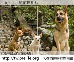 bj빈이 的前世相片