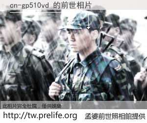 cn-gp510vd 的前世相片