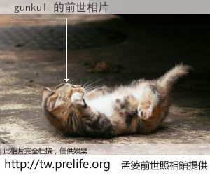 gunkul 的前世相片