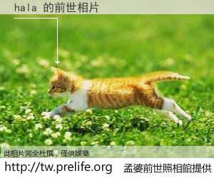 hala 的前世相片