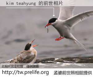 kim teahyung 的前世相片