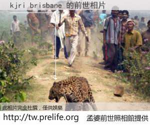 kjri brisbane 的前世相片