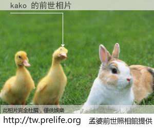 kako 的前世相片
