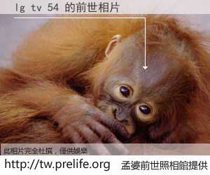 lg tv 54 的前世相片