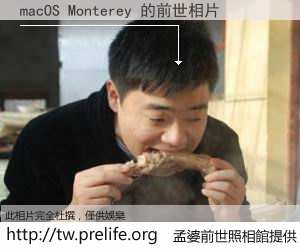 macOS Monterey 的前世相片