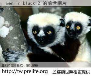 men in black 2 的前世相片