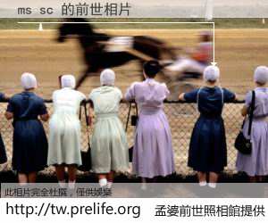 ms sc 的前世相片