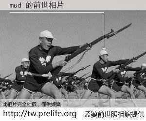 mud 的前世相片
