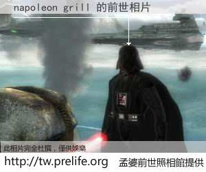 napoleon grill 的前世相片