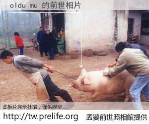 oldu mu 的前世相片