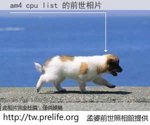 am4 cpu list 的前世相片