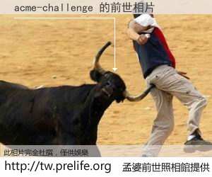 acme-challenge 的前世相片