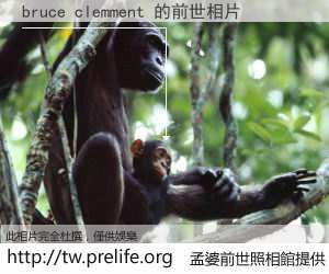 bruce clemment 的前世相片