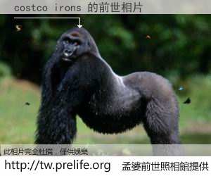 costco irons 的前世相片
