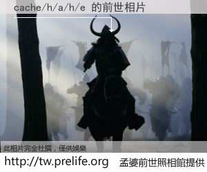 cache/h/a/h/e 的前世相片