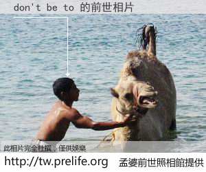 don't be to 的前世相片