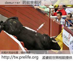 demurrer 的前世相片