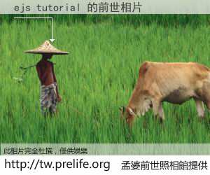 ejs tutorial 的前世相片