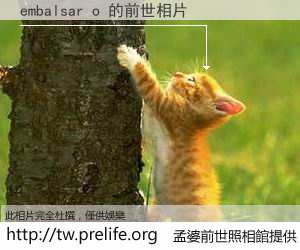 embalsar o 的前世相片