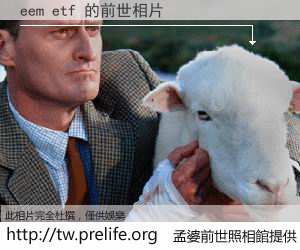 eem etf 的前世相片