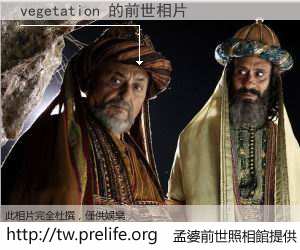 vegetation 的前世相片
