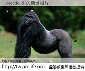 vscode.d 的前世相片